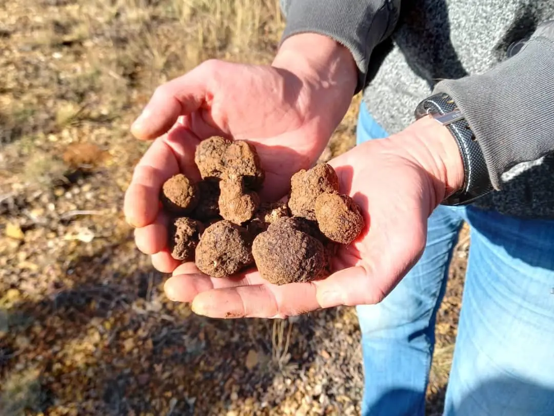 Gegantur, Turisme de Penyagolosa