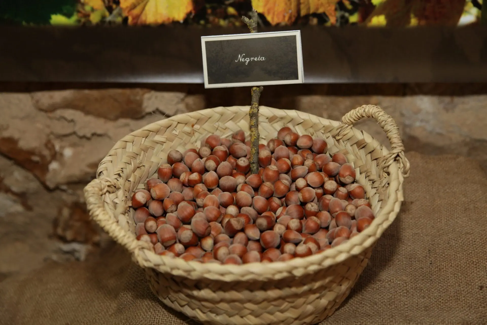 Ayuntamiento de Benassal