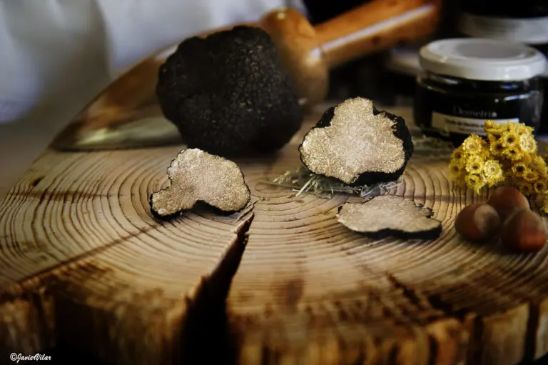 Gastronomic and Truffle Fair - Villanueva de Viver