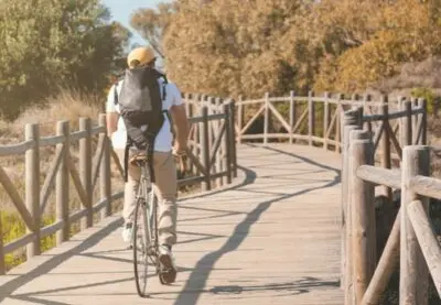 A pedales por tierras de olivos (Bike & Olivo)