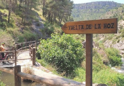 Caminos de sabor: entre olivos y almendros