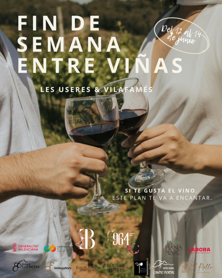 FIN DE SEMANA ENTRE VIÑAS