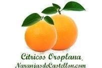 Naranjas De Castellón