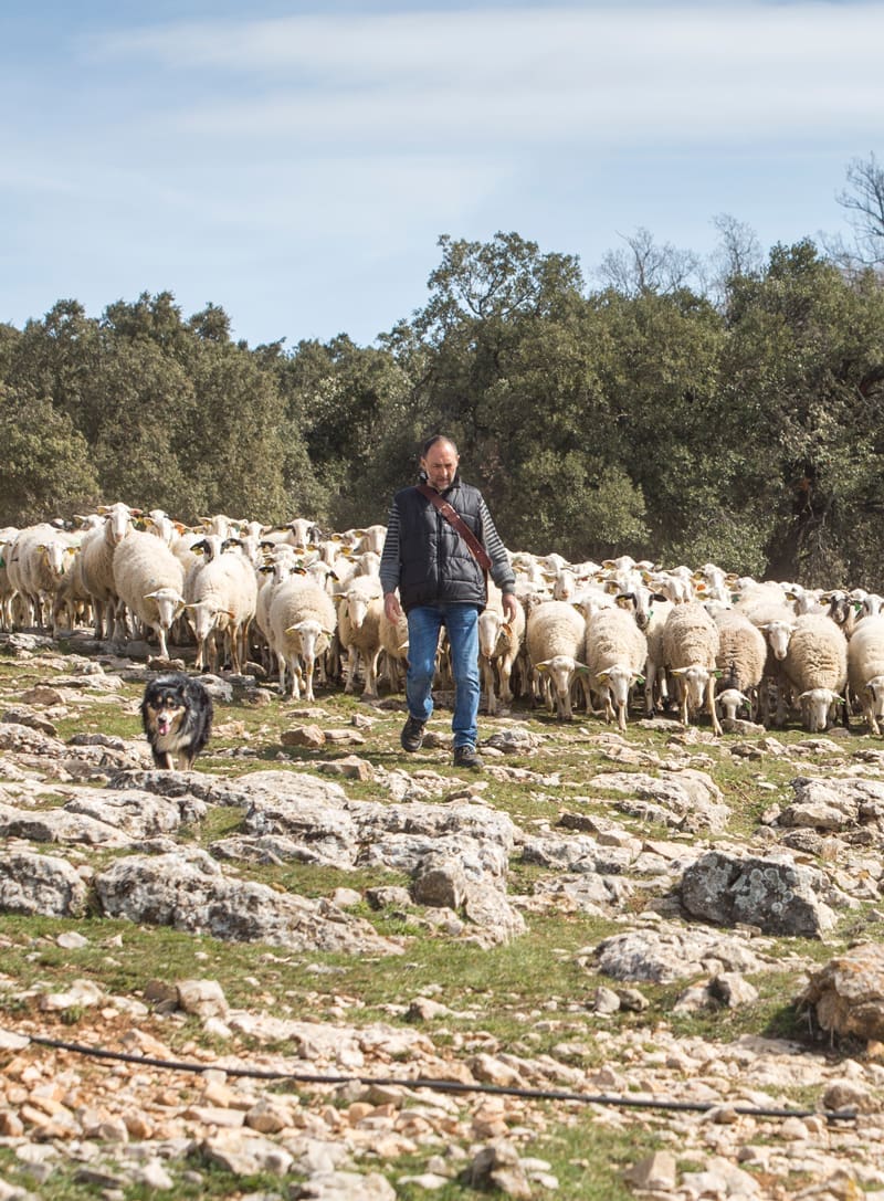 Agri-Food Producers