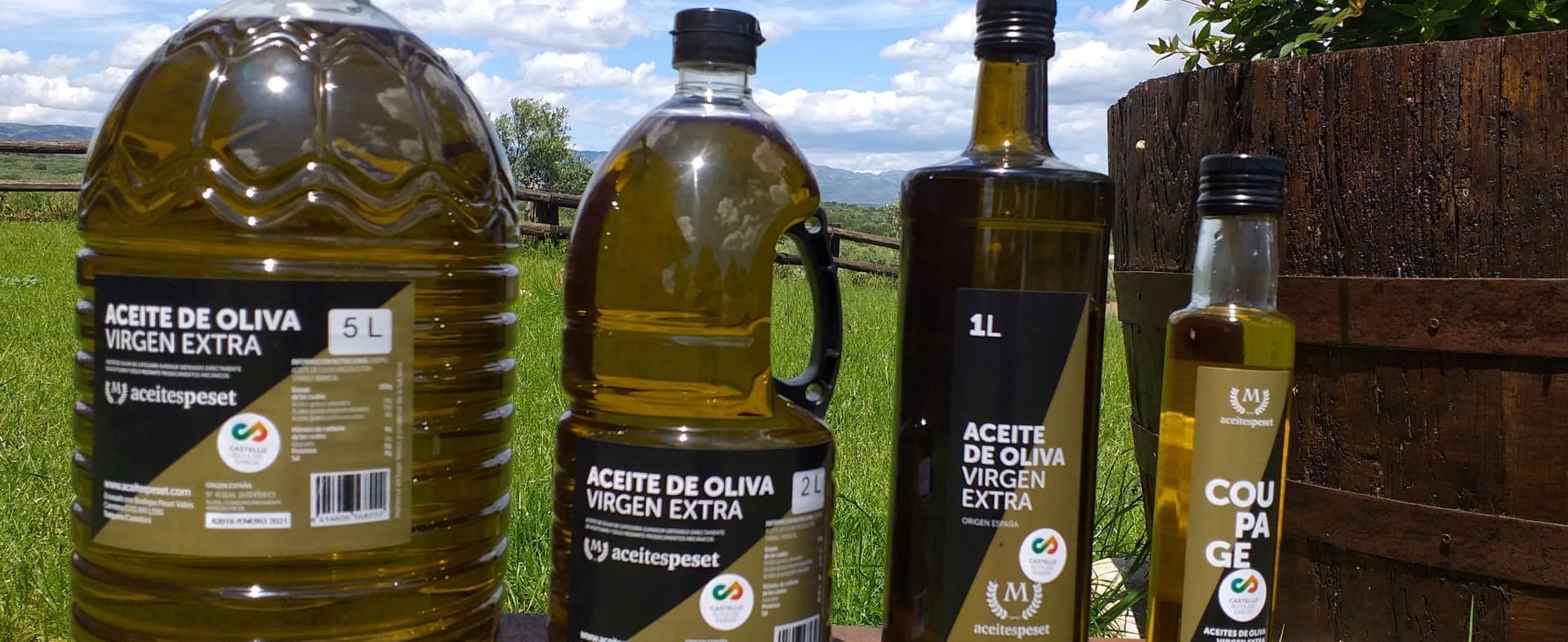 The Olive Oil and Millenary Olive Trees Route