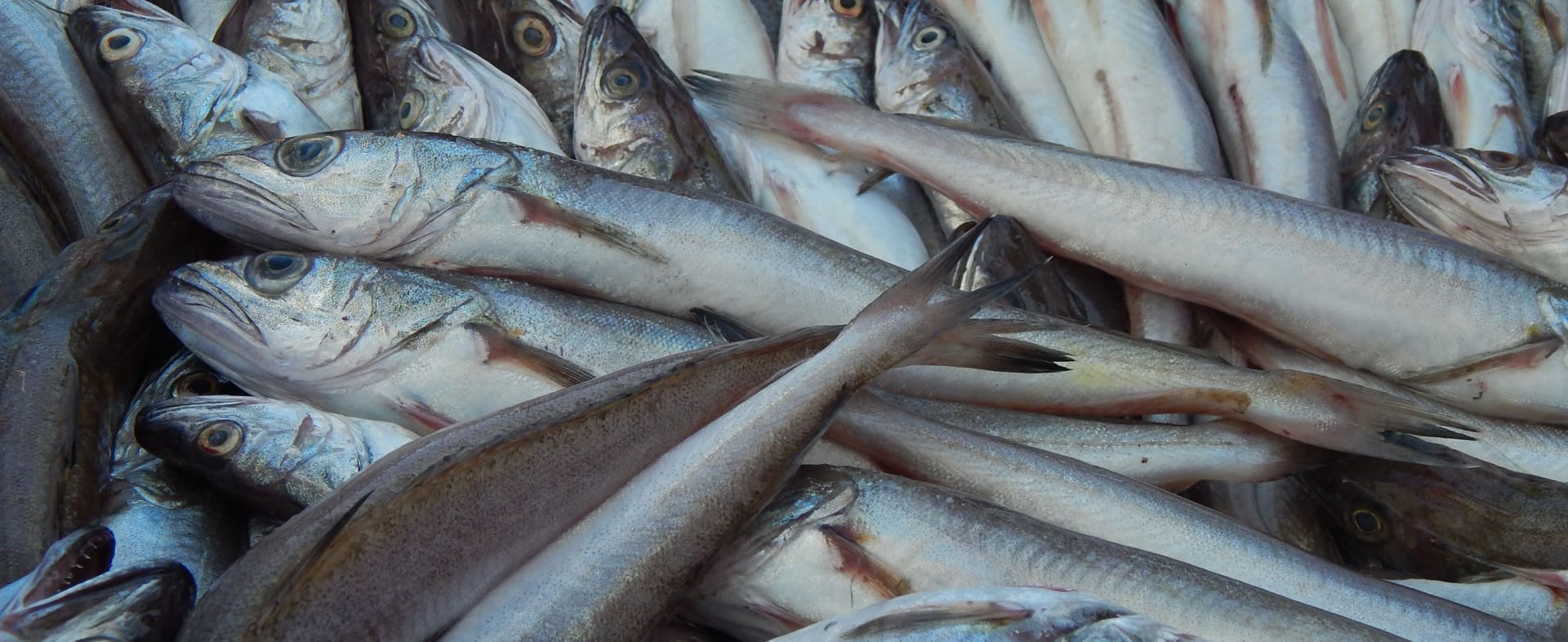 Fishing Culture Route