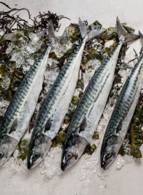 Fishing Culture Route