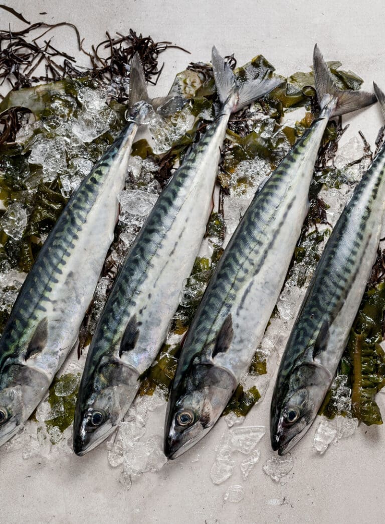 Fishing Culture Route