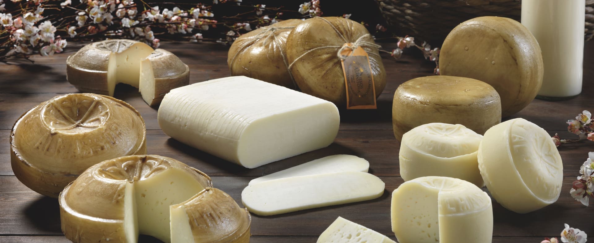 Cheese Territories