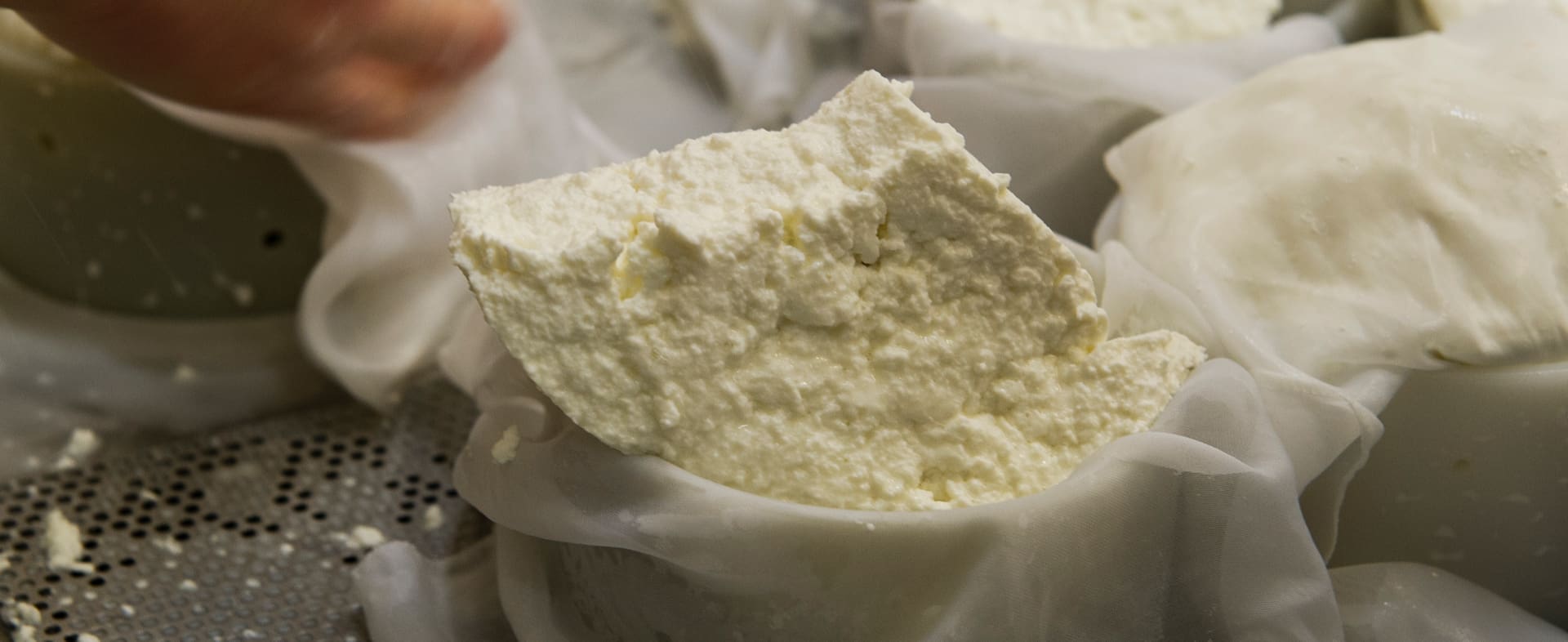 Cheese Territories