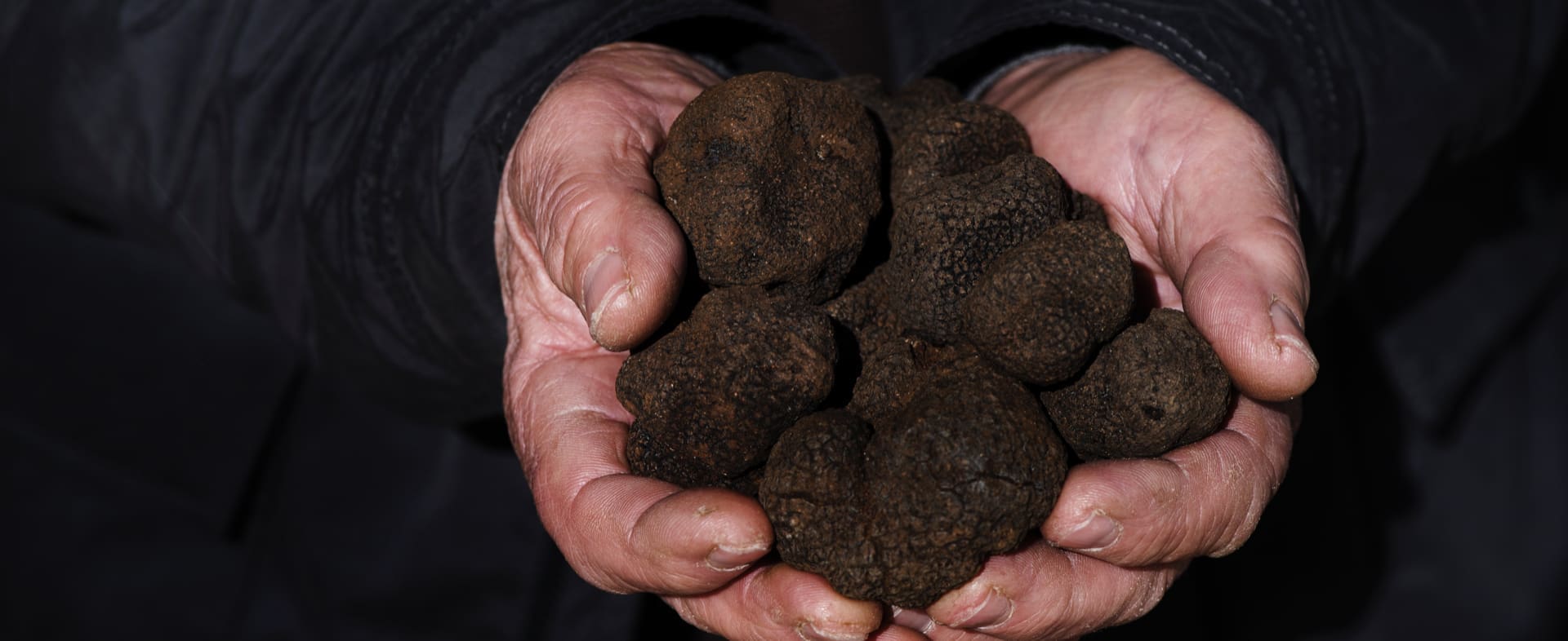 Truffle Territories, a hidden treasure