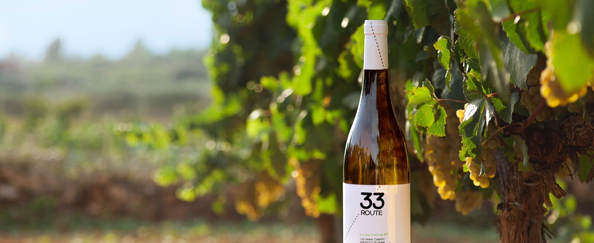 Castellón Wine Route