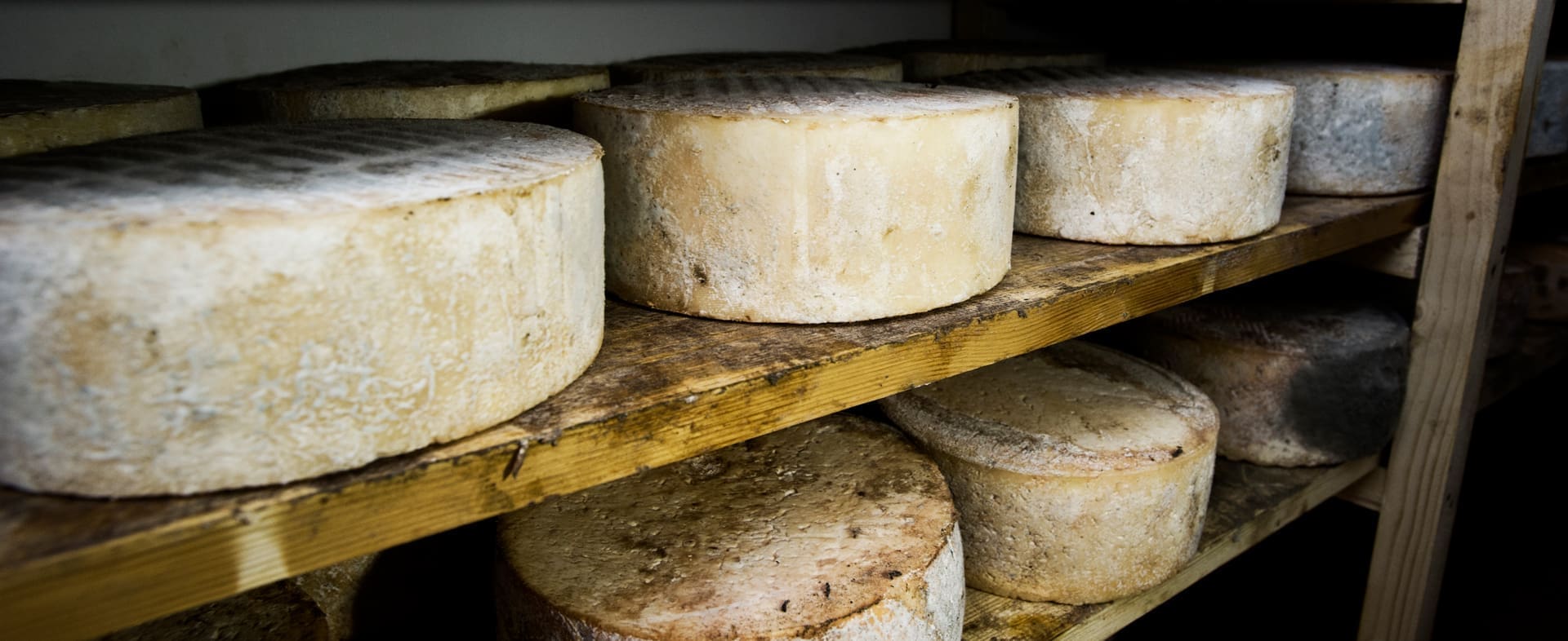 Cheese Territories