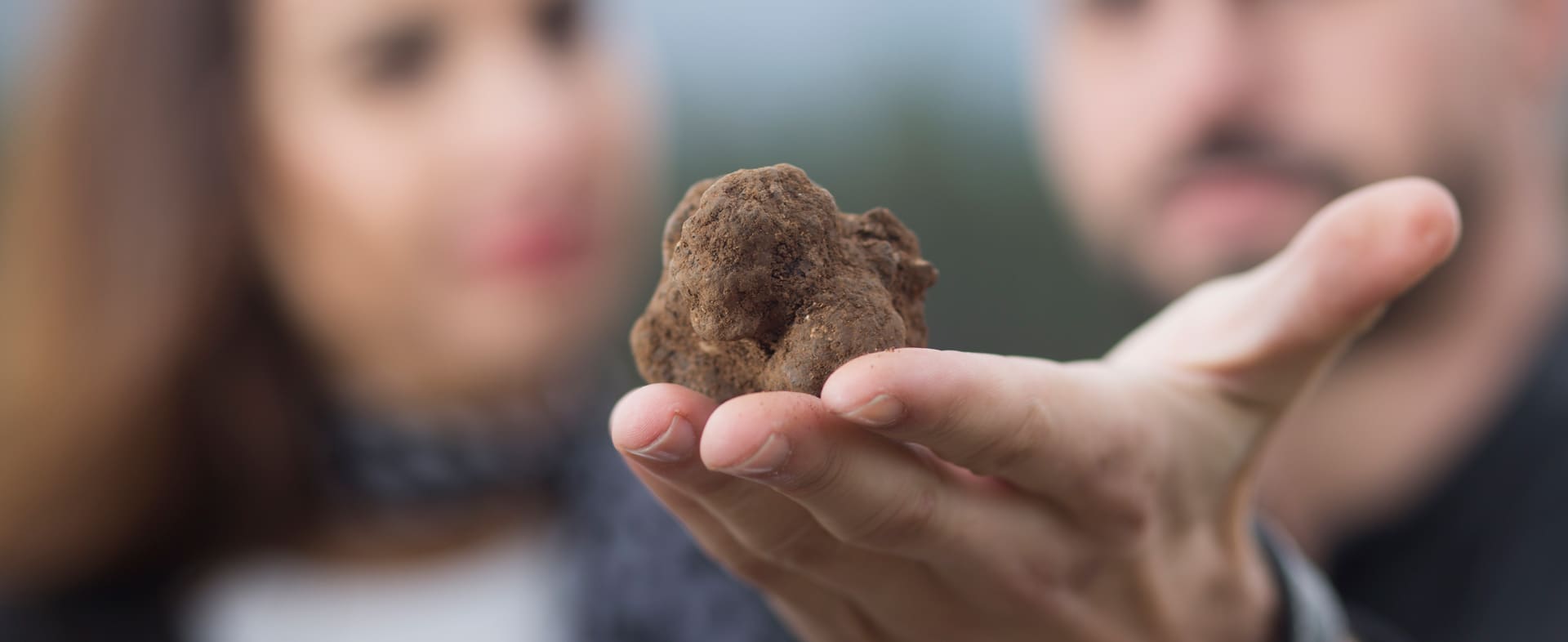 Truffle Territories, a hidden treasure