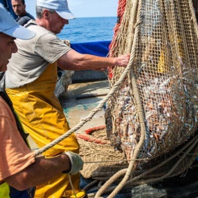 Un port de pêche plein de saveur