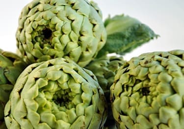 Artichoke Festival