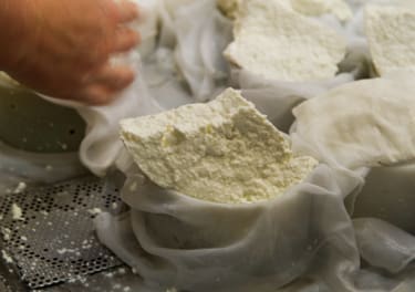 Artisan Cheese Fair