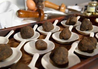Truffle Gastronomic Day