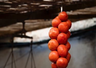 Penjar Tomato Fair