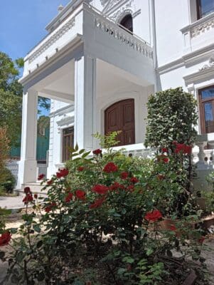 Flamenco Night - 1893 Hotel Boutique