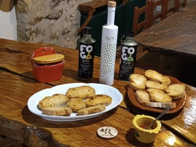 Degustación de aceites