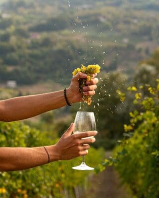 Themed tasting with wine, sparkling wine or craft beer pairing
